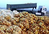 صادرات محصولات کشاورزی بی‌رویه نیست، بی‌برنامه است + لزوم شفاف سازی جدول نیاز داخلی- مازاد صادراتی و الکوی ذخیره سازی، توسط وزارت جهادکشاورزی